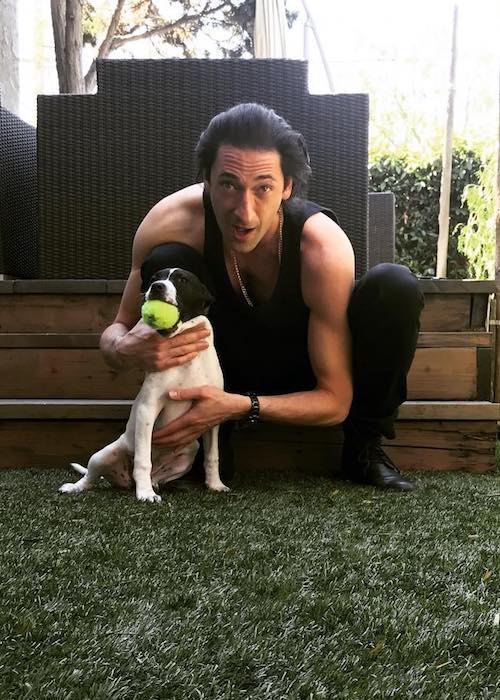 Adrien Brody Height, Weight, Age, Body Statistics