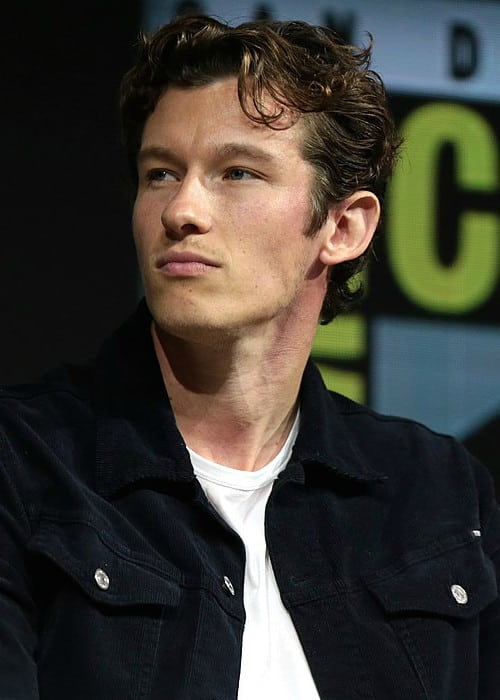 Callum Turner speaking at the 2018 San Diego Comic-Con