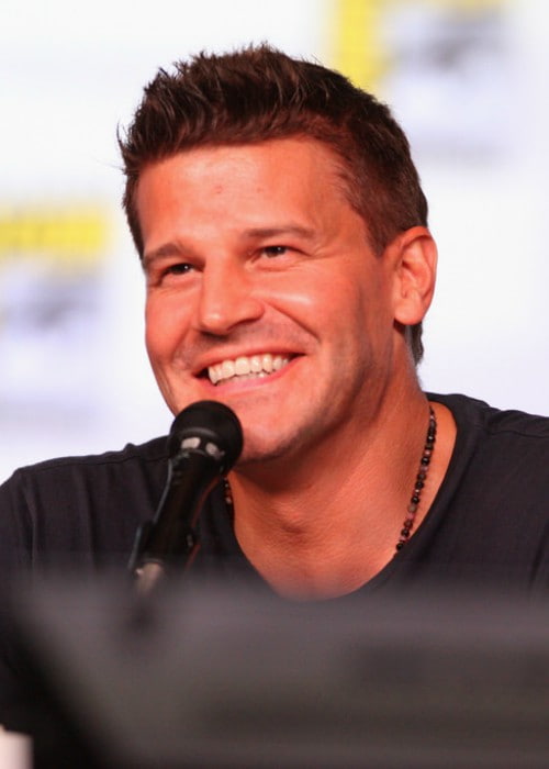 David Boreanaz Height, Weight, Age, Body Statistics