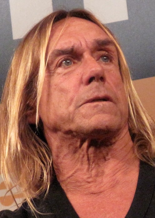 Iggy Pop Height, Weight, Age, Body Statistics