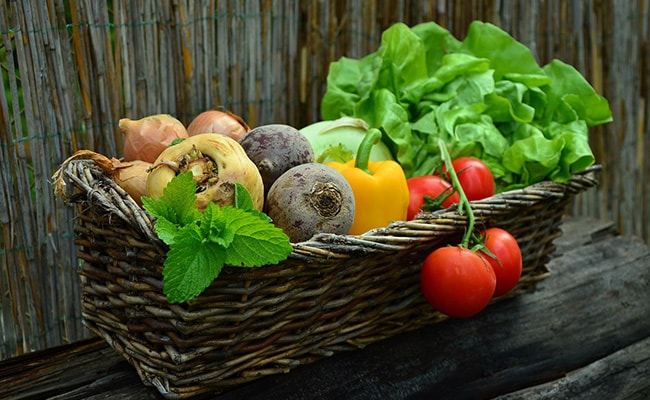 Best Foods for MMA Fighters