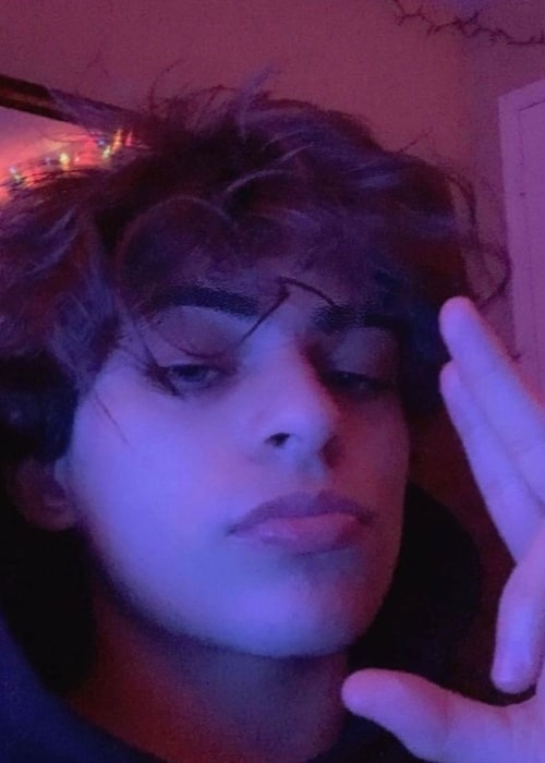 Yazan Diab Height, Weight, Age, Body Statistics